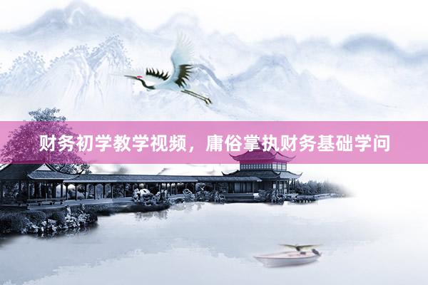 财务初学教学视频，庸俗掌执财务基础学问