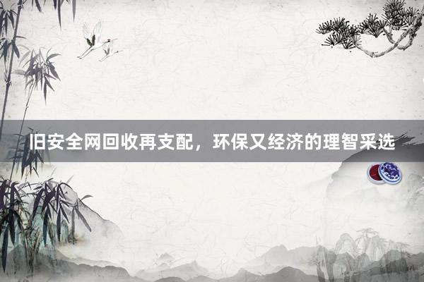 旧安全网回收再支配，环保又经济的理智采选