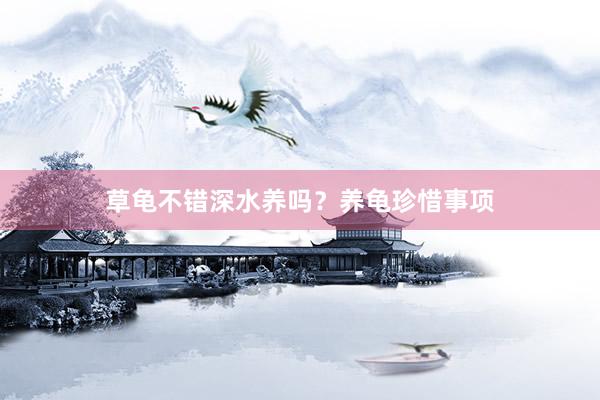 草龟不错深水养吗？养龟珍惜事项